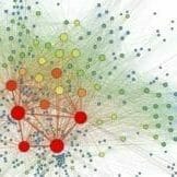 social network diagram